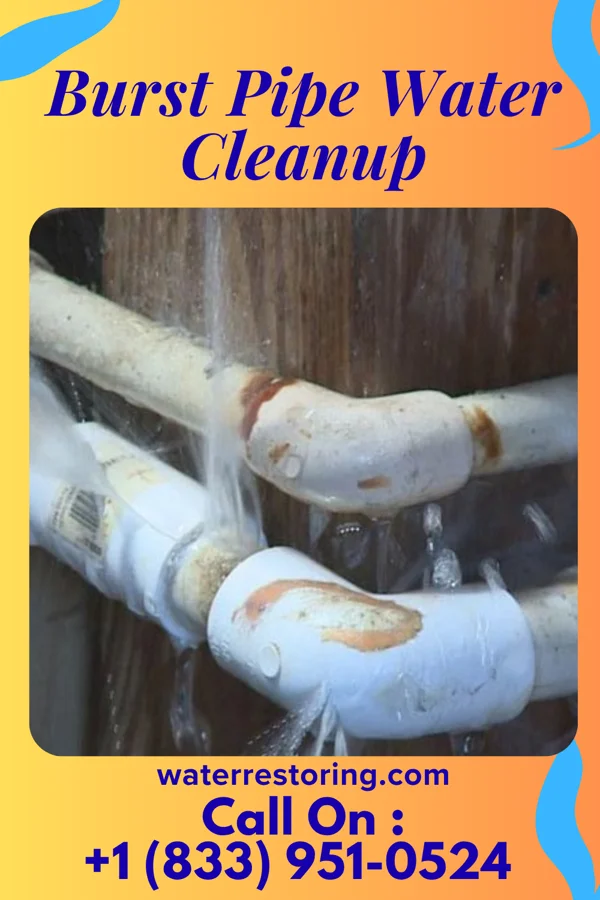 Burst Pipe Water Cleanup in St. Clement, MO
